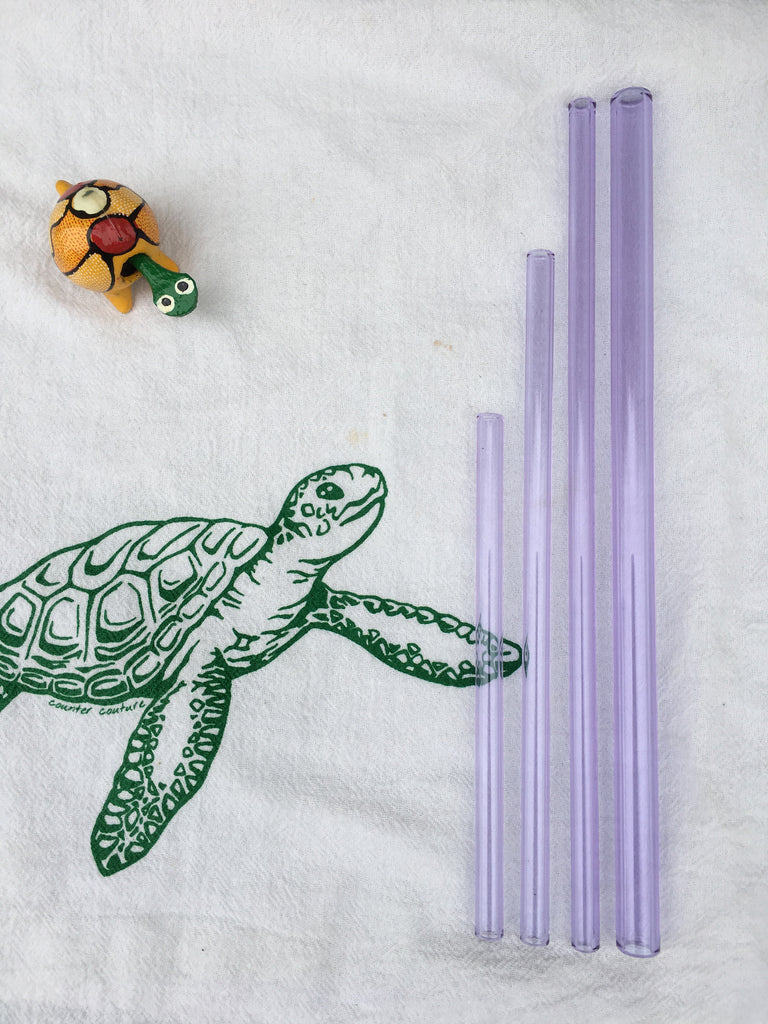 Sea Turtle Love Custom Glass Straws